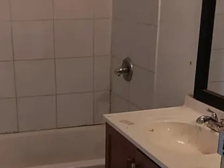 517 Lincoln Ave #3 — Photo 3