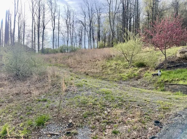 Falling Water Ln, Morgantown, WV 26508