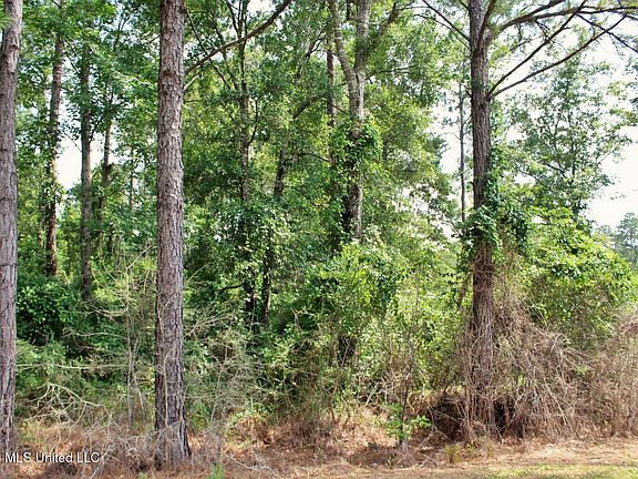 5th image of 39AC Little Bluff Dr Lot 20