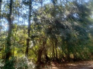 304 Gardenia Ave, Georgetown, FL 32139
