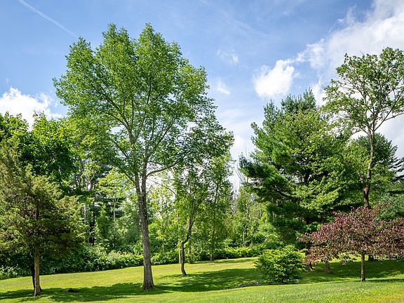 5th image of 29 Mountain Greenery Ln