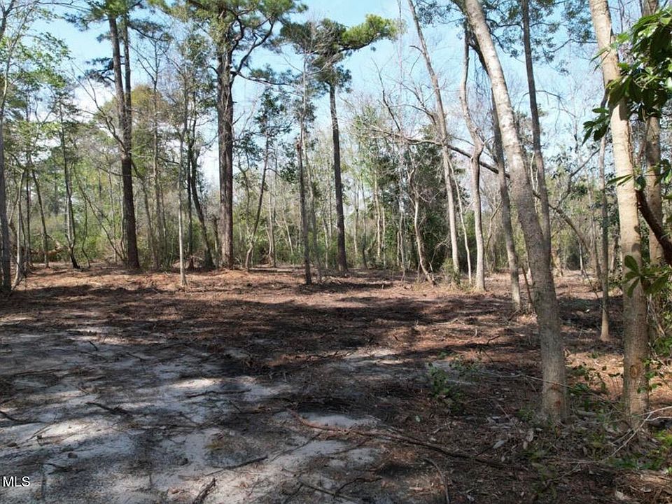 2nd image of 7402 Myrtle Grove Road