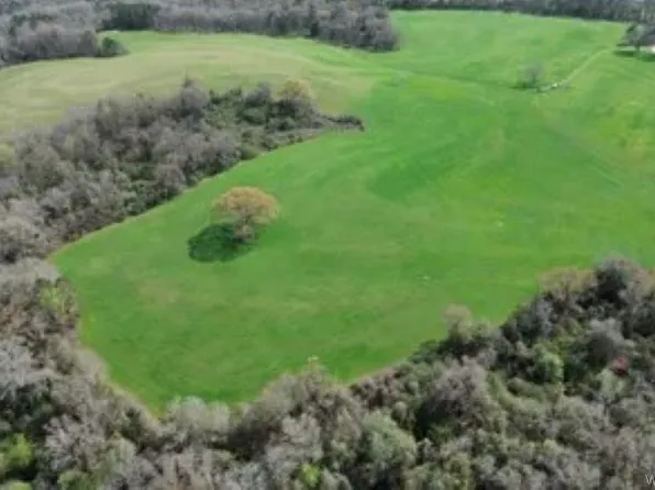 208 County Road 7 Rd, Clio, AL 36017