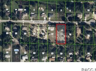 9802 E Granada Ct, Inverness, FL 34450