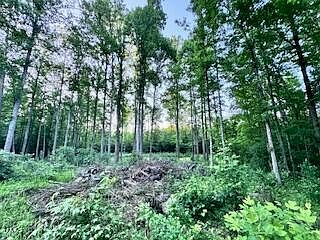2nd image of 6711 Fernway Rd #1