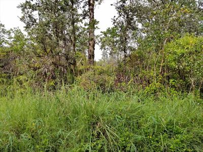 OPEAPEA Rr 7, Mountain View, HI, 96771