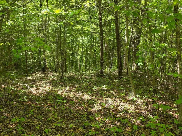 Crestwood Dr, Speedwell, TN 37870
