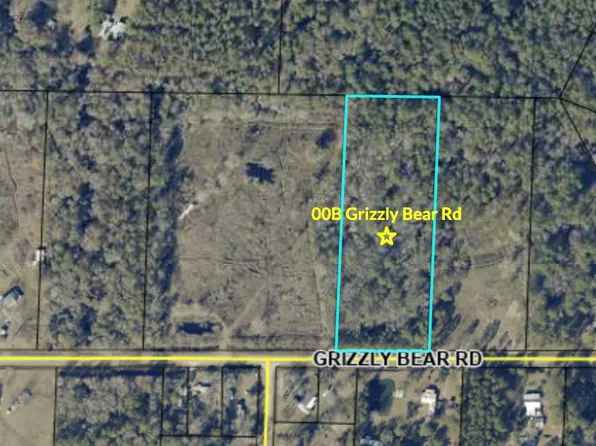 00B Grizzly Bear Rd, Norman Park, GA 31771