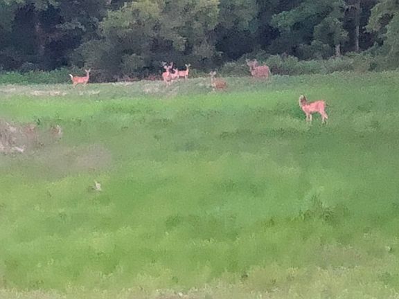 80th image of this home