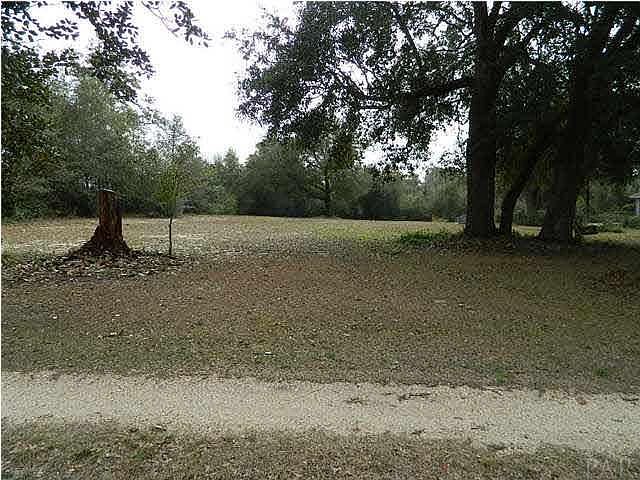 2nd image of 7013 Pine Forest Rd
