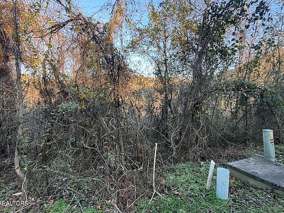 2nd image of Magnolia Ln Lot 488