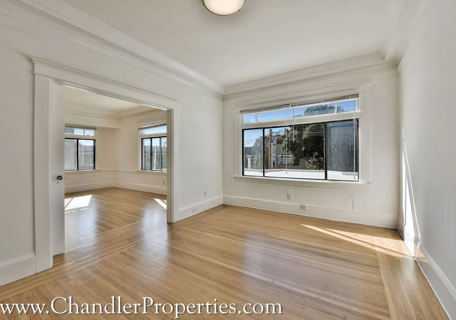 75 Palm Avenue Apartments — Photo 4