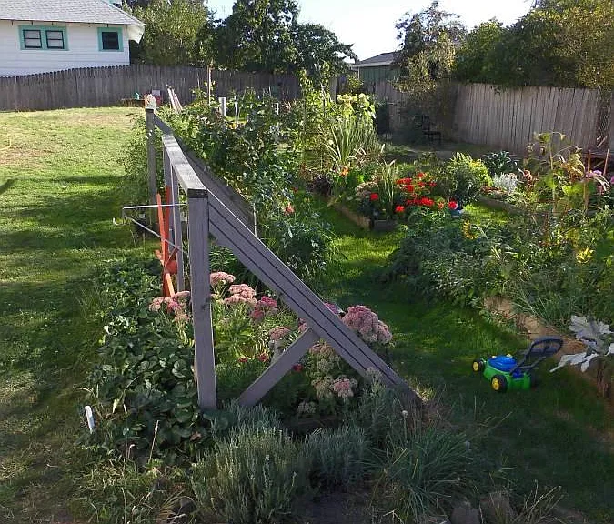 Your own FREE garden plot!