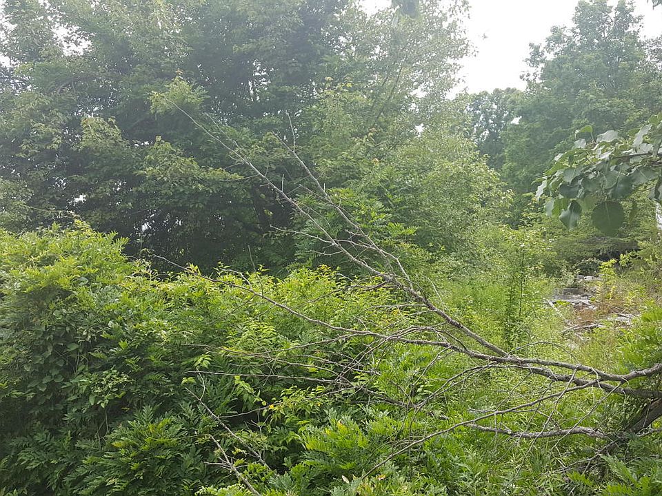 2nd image of 764 Webb Loop