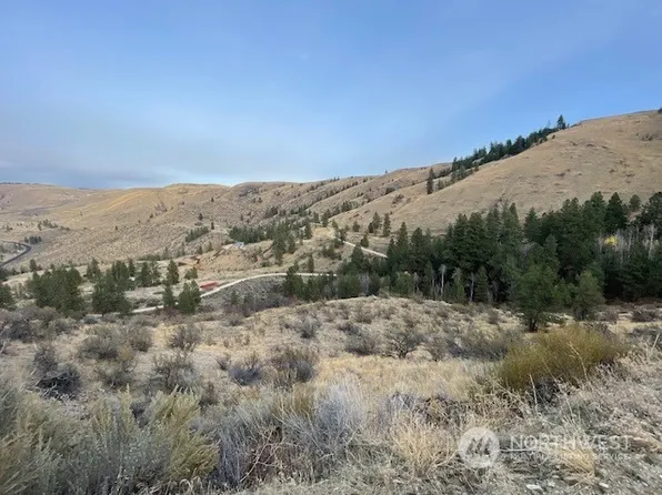 30 Lot Mountain Spring Rd, Orondo, WA 98816