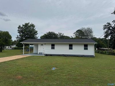 6550 County Line Rd, Leighton, AL, 35646