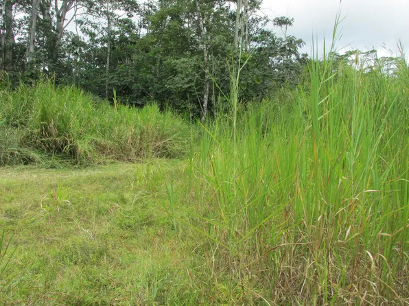 14-3547 Nanawale Blvd #644, Pahoa, HI 96778