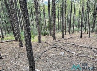 193 Trout Dr, Timberon, NM 88350
