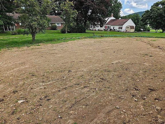 large back yard