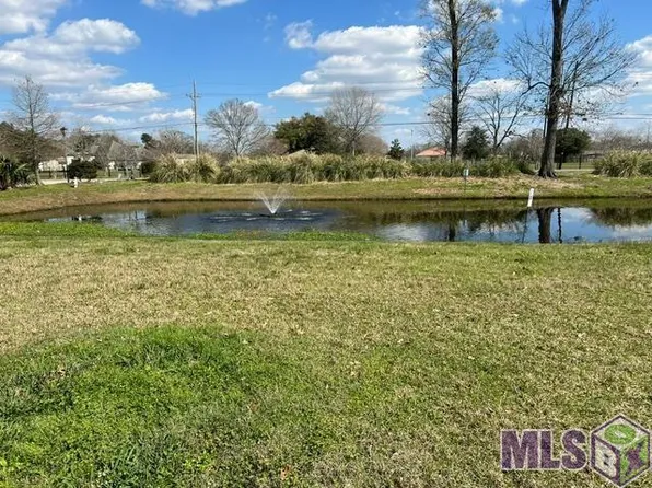 37451 Cypress Alley Ave, Gonzales, LA 70737