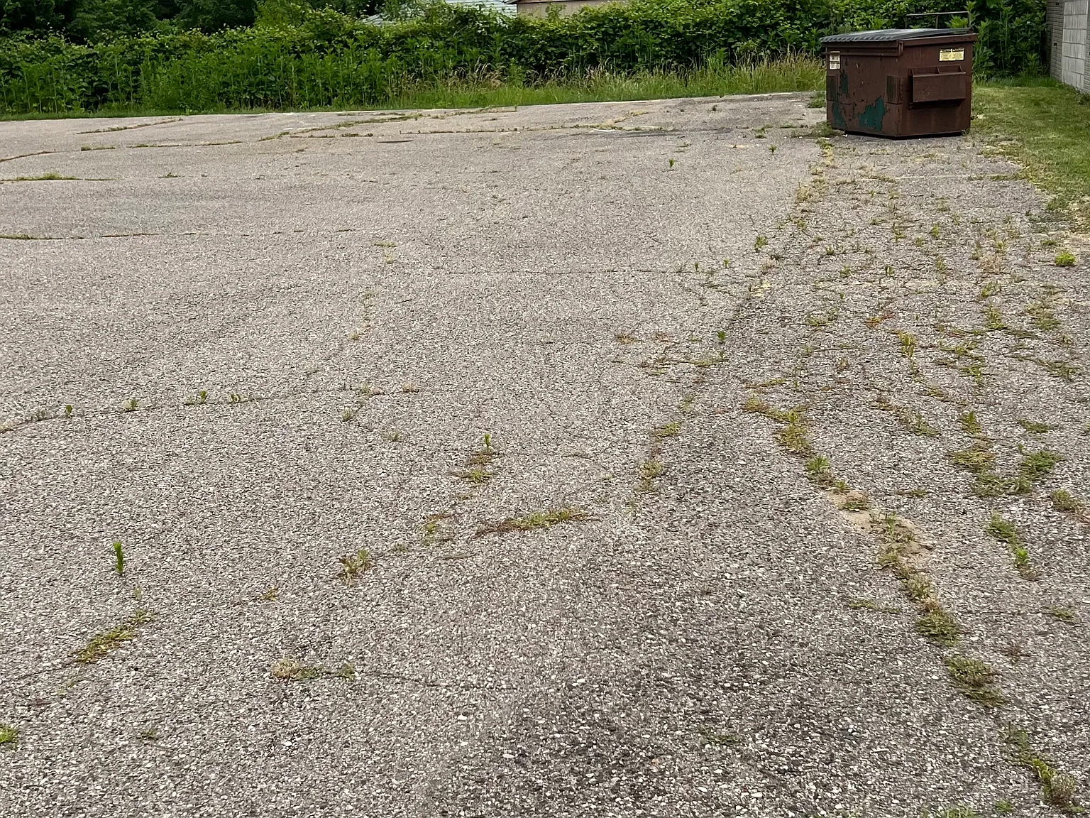 Studio, 900 sqft, $900 — Photo 4