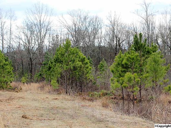 3rd image of 1624 County Road 16