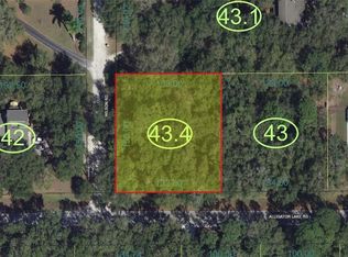 Alligator Lake Rd, Saint cloud, FL 34772