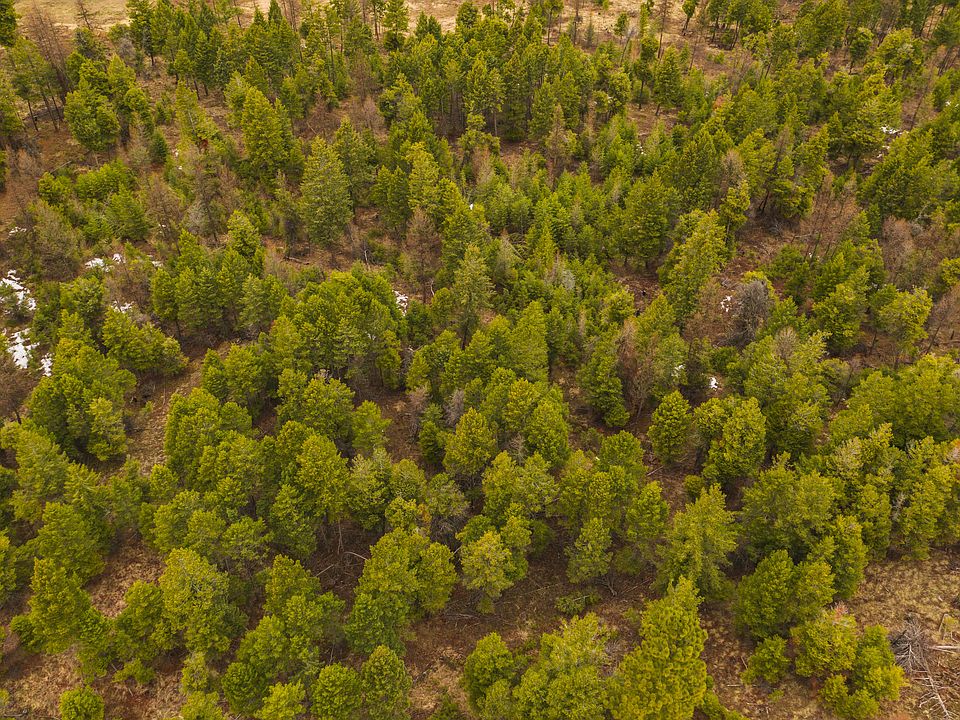 425 Buffalo Trl, Somers, MT 59932 Zillow