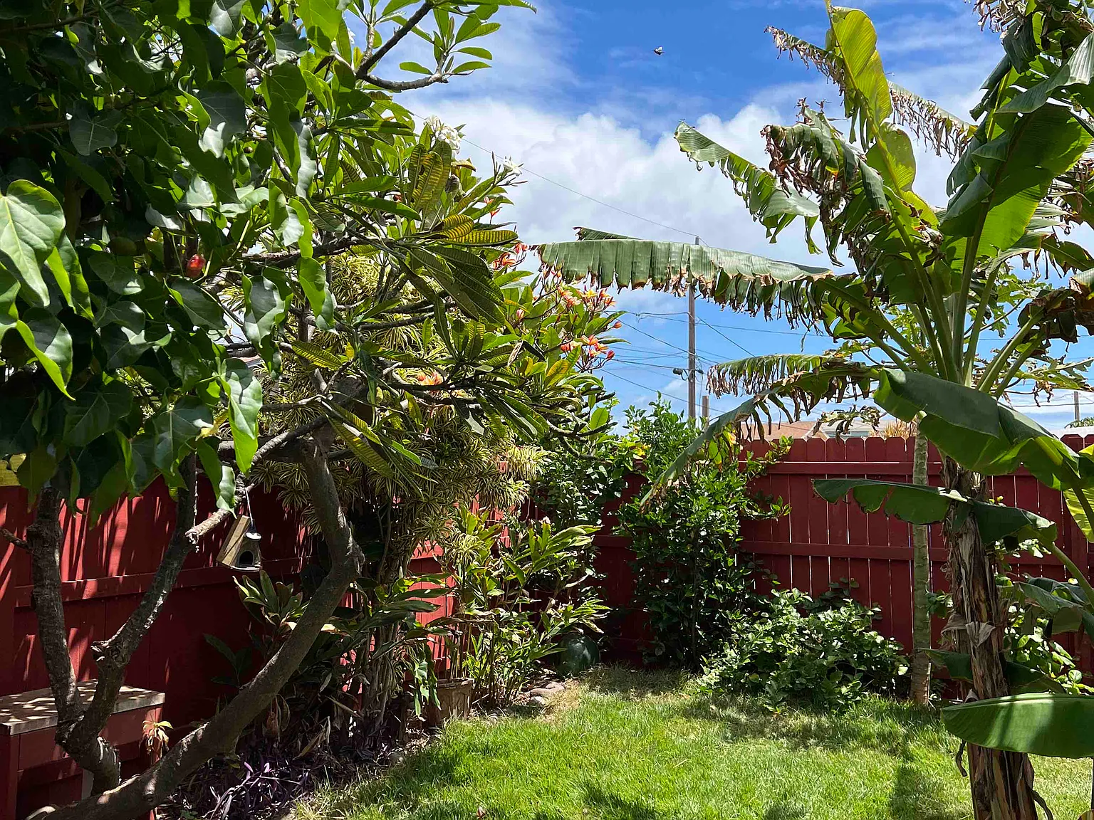 Linekona Pl, Wailuku — Photo 2