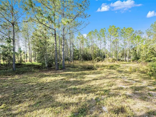 26369 Lawrence Ave #680, Wesley Chapel, FL 33544