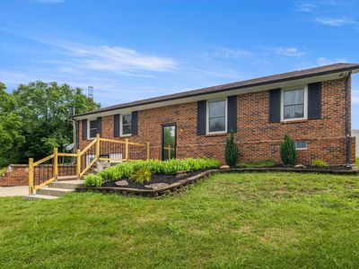 420 Scotts Ferry Rd, Versailles, KY, 40383