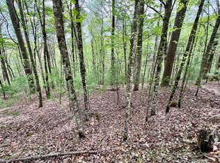 3409 Ashley Dr, Ellijay, GA 30540