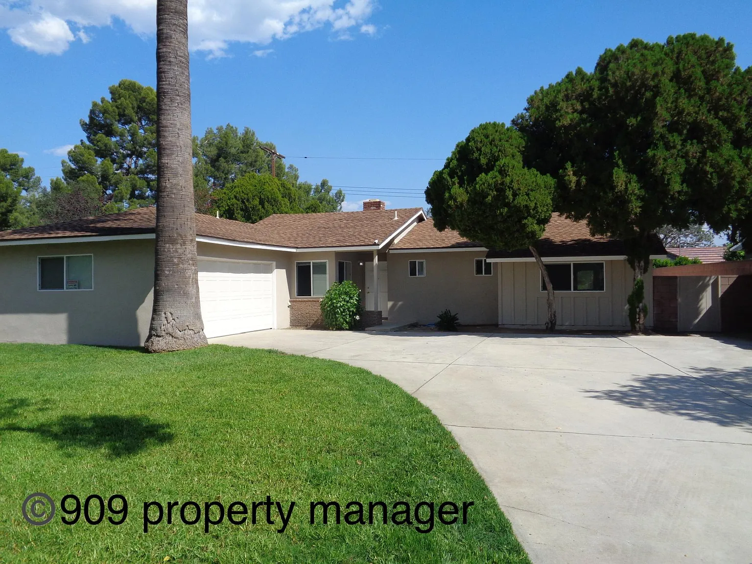 1338 Grove Ave — Photo 3
