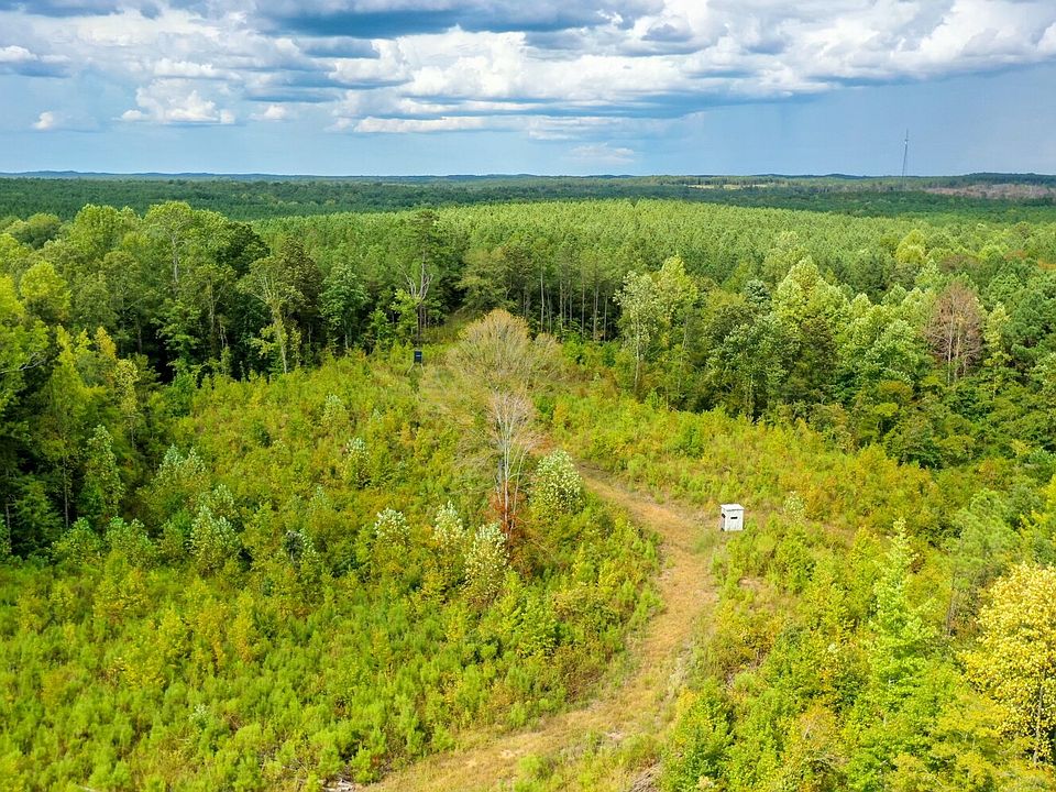 Excellent Deer and Other Game Habitat With Trails Interspersed Throughout