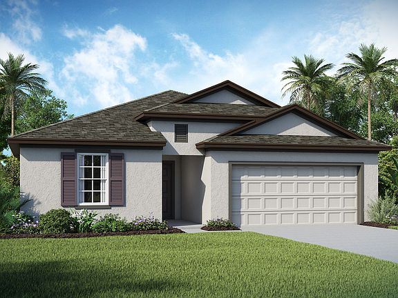 Palmera C