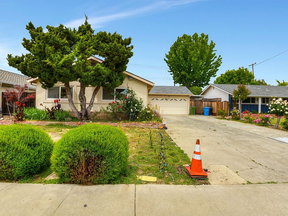 Front yard and drive way