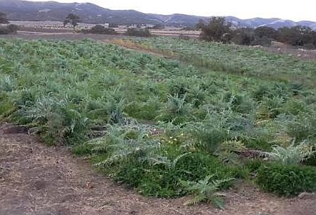 4th image of 73525 Nacimiento Lake Dr