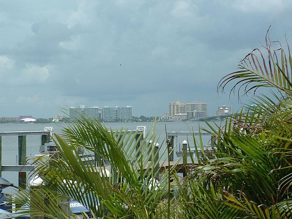City of Sarasota from Pool
