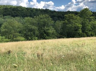 340 Tunnel Rd, Port Crane, NY 13833