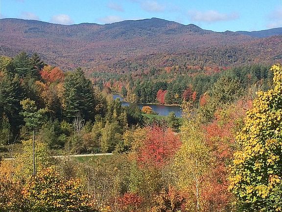 View from livingroom window
