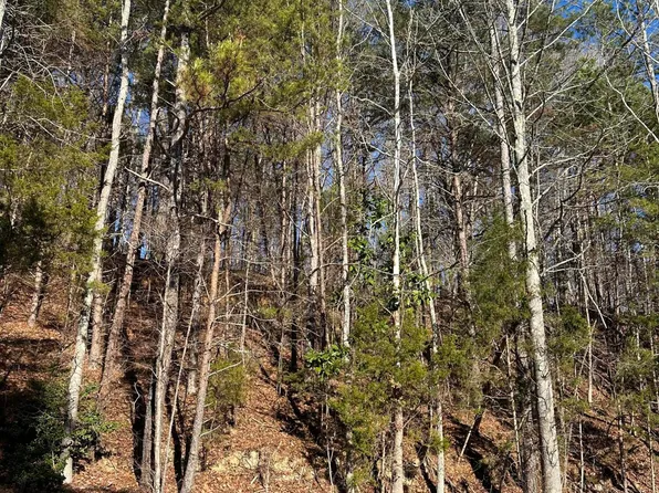 LOT 4 Lower River Rd NW, Charleston, TN 37310