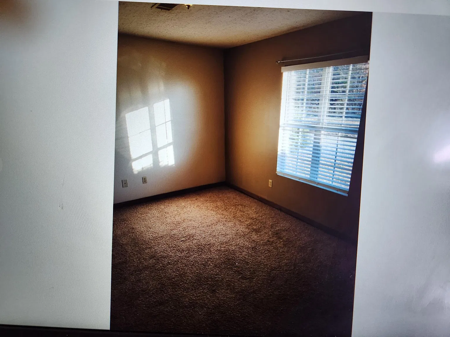 104B Mickey Ln, Belden — Photo 4