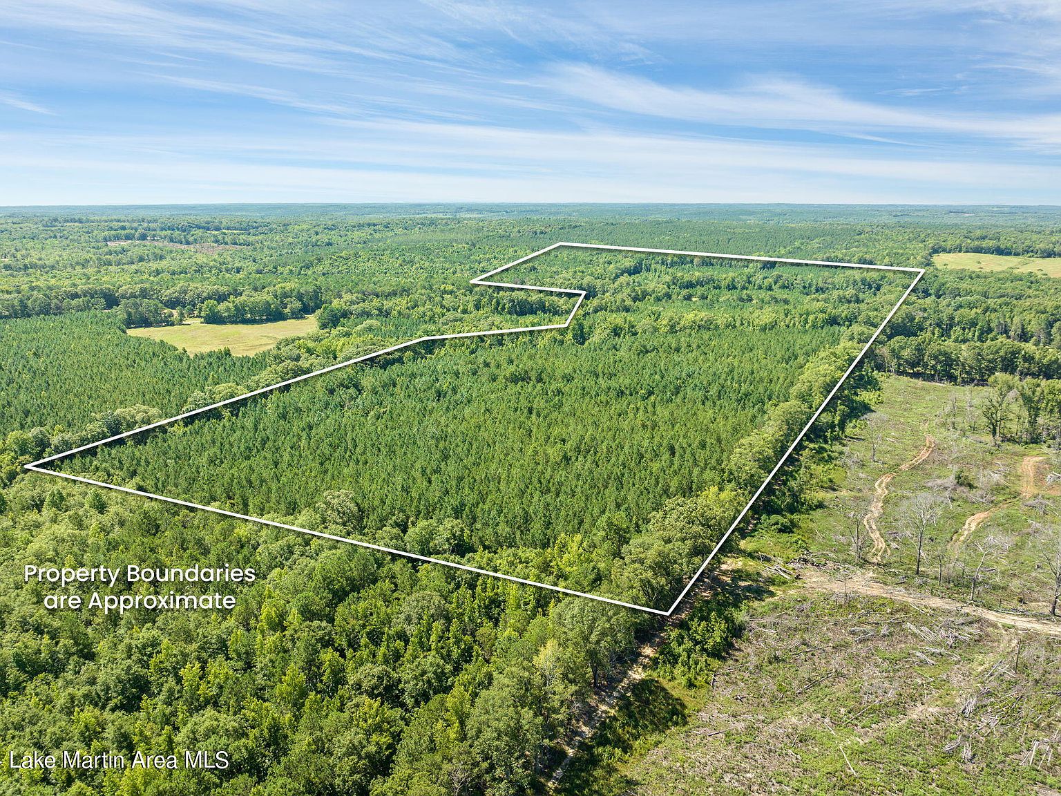/ Jack Wilson Rd, Camp Hill, AL 36850 MLS 24923 Zillow