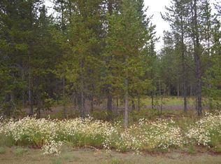 3609 Island Dr, Island Park, ID 83429