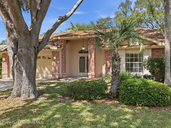 7361 Rosemont Ln, Spring Hill, FL 34606