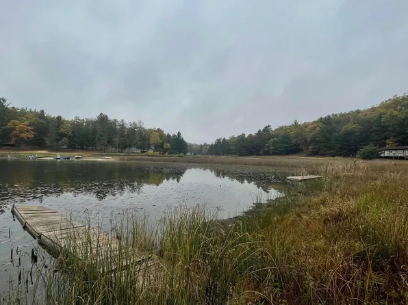 6534 W Nugent View Ln Lot 87, Baldwin, MI 49304
