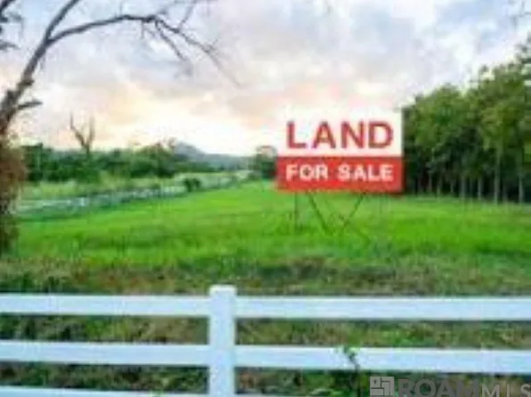 Weiss Rd, Walker, LA 70785
