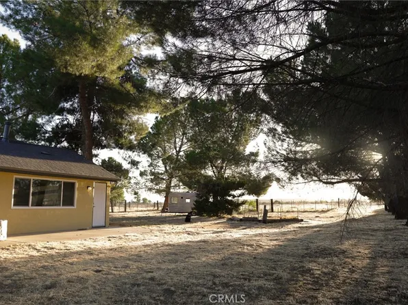 39396 Cary Rd, Anza, CA 92539