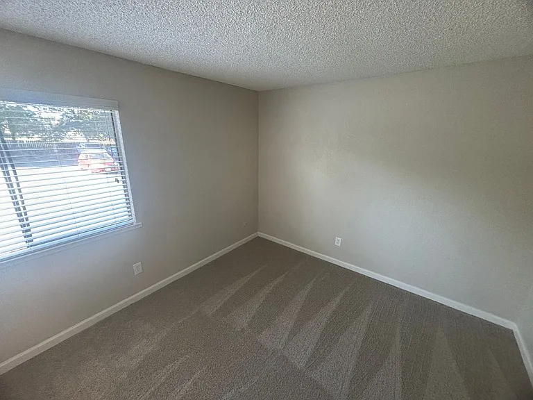Olive Glen — Photo 8