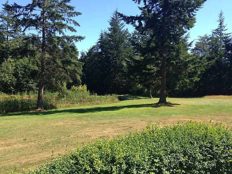 925 Classic Rd — Photo 22